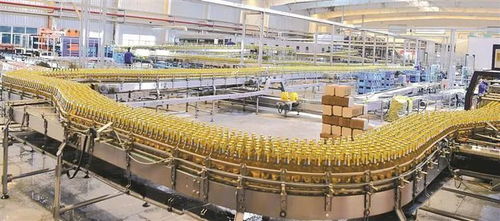 不吃老本 再立新功 南疆師市以技術(shù)服務(wù)打造投資高地