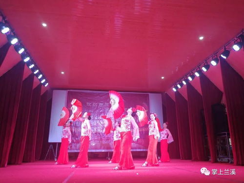 放歌新時代，文化進(jìn)萬家——記2019新春文化系列活動與蘭溪水鳥藝術(shù)團(tuán)的基層之旅