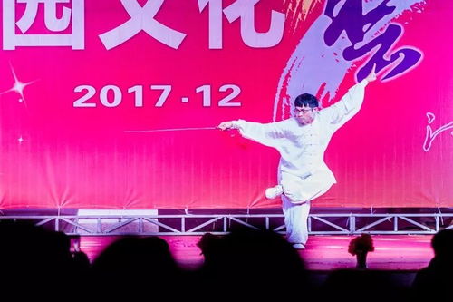 第28屆文化藝術(shù)節(jié)文藝匯演獲獎名單揭曉 文化交流活動成果斐然